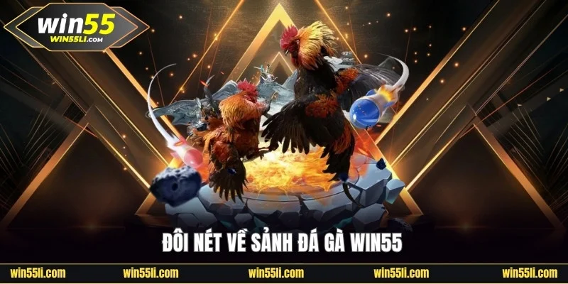 Đá Gà Win55 - Khám Phá 200+ Trận Đấu Đỉnh Cao Mỗi Ngày - LUCKY924