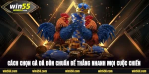 Đá Gà Win55 - Khám Phá 200+ Trận Đấu Đỉnh Cao Mỗi Ngày - LUCKY924