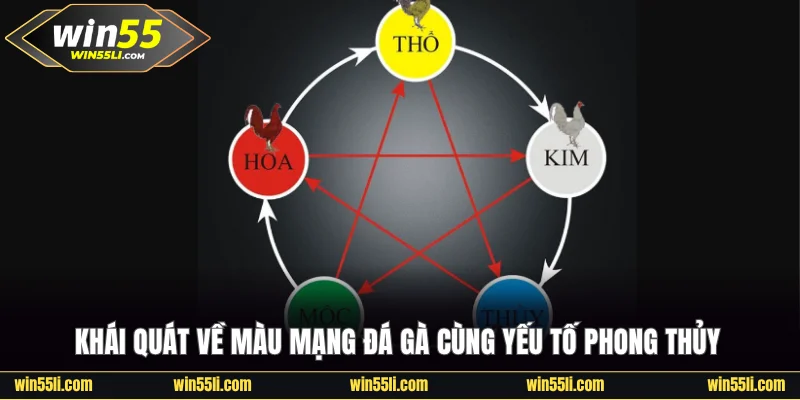 Màu Mạng Đá Gà Và Tác Động Đến Kết Quả Của Các Trận Đấu - LUCKY924
