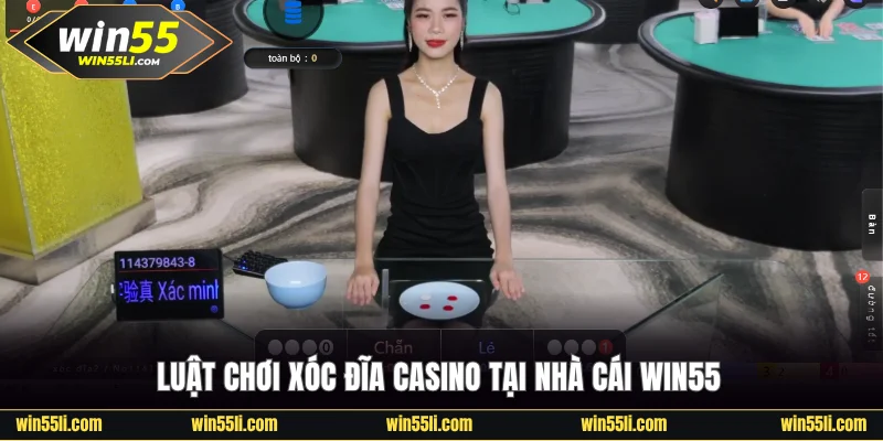 Xóc Đĩa Casino - Luật Chơi Và 4 Chiến Thuật Tạo Thắng Lớn - LUCKY924