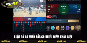 Đá Gà Win55 - Khám Phá 200+ Trận Đấu Đỉnh Cao Mỗi Ngày - LUCKY924