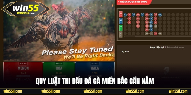 Luật Đá Gà Miền Bắc - Tìm Hiểu Thông Tin Chuẩn Cùng Win55 - LUCKY924