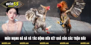 Đá Gà Win55 - Khám Phá 200+ Trận Đấu Đỉnh Cao Mỗi Ngày - LUCKY924
