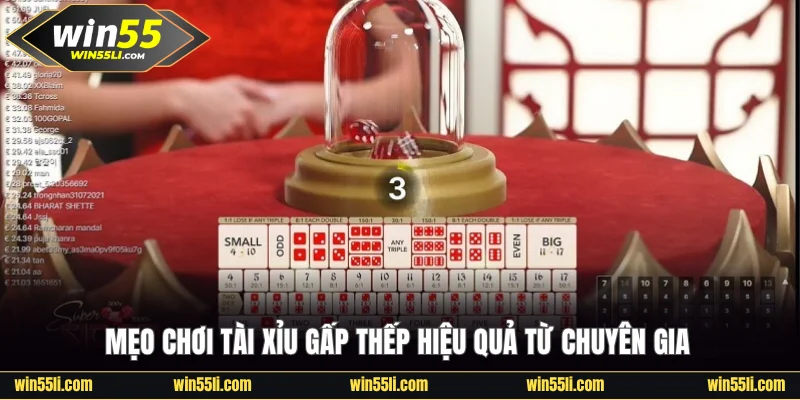 Chơi Tài Xỉu Win55 Thắng Lớn Với Top 3 Bí Quyết Đỉnh Cao - LUCKY924