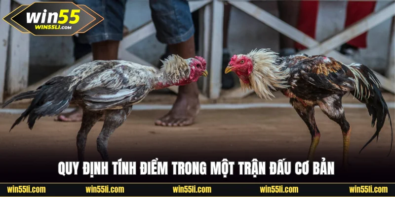 Cách Chọn Gà Đá Đòn Chuẩn Để Thắng Nhanh Mọi Cuộc Chiến - LUCKY924