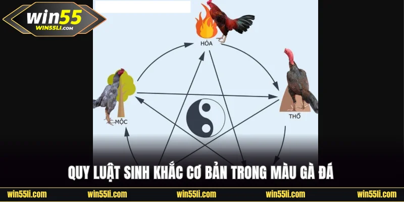 Màu Mạng Đá Gà Và Tác Động Đến Kết Quả Của Các Trận Đấu - LUCKY924