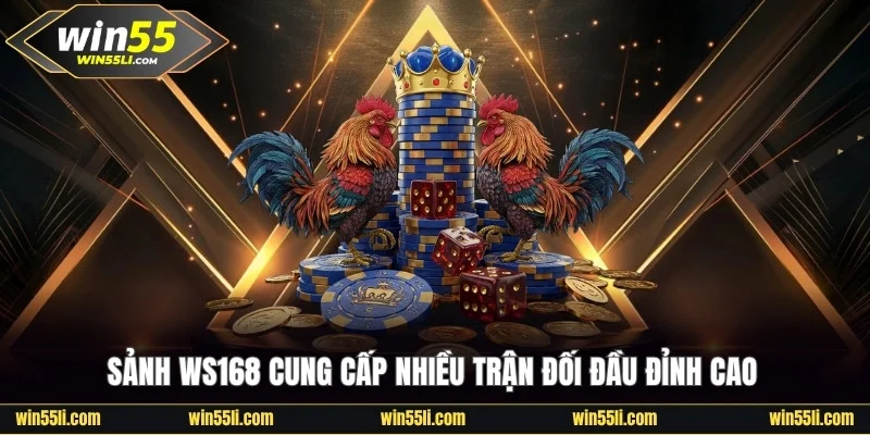 Đá Gà Win55 - Khám Phá 200+ Trận Đấu Đỉnh Cao Mỗi Ngày - LUCKY924