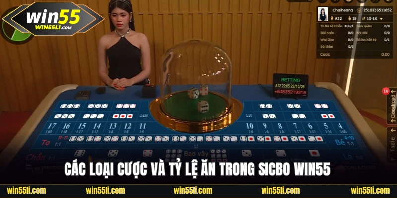 Sicbo Win55 - Bí Quyết Chơi Được Tiết Lộ Từ Các Chuyên Gia - LUCKY924
