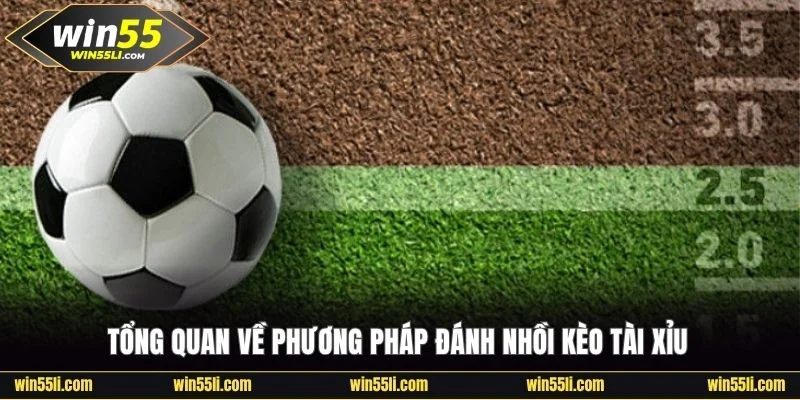 Tuyệt Chiêu Đánh Nhồi Kèo Tài Xỉu Thắng Lớn Từ Chuyên Gia - LUCKY924